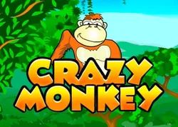 Игровой автомат Crazy Monkey Игровой автомат Crazy Monkey